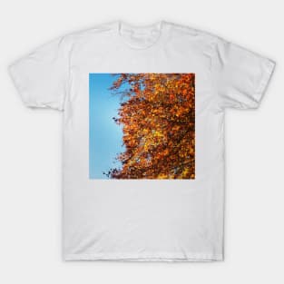 Autumn leaves T-Shirt